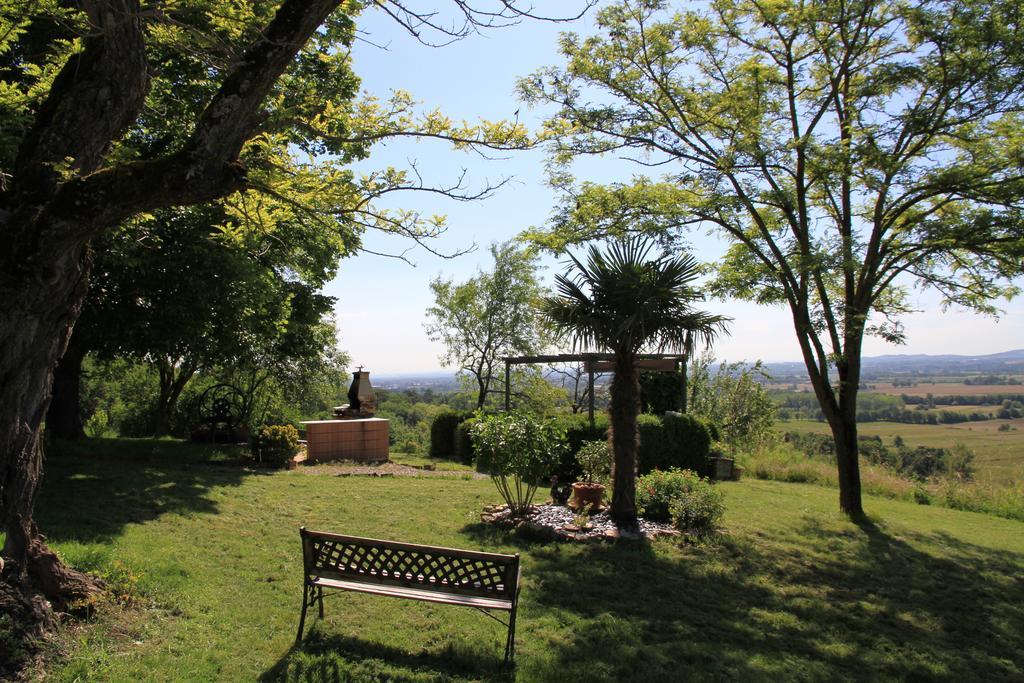 La Pigario Bed & Breakfast Lisle-sur-Tarn Eksteriør bilde